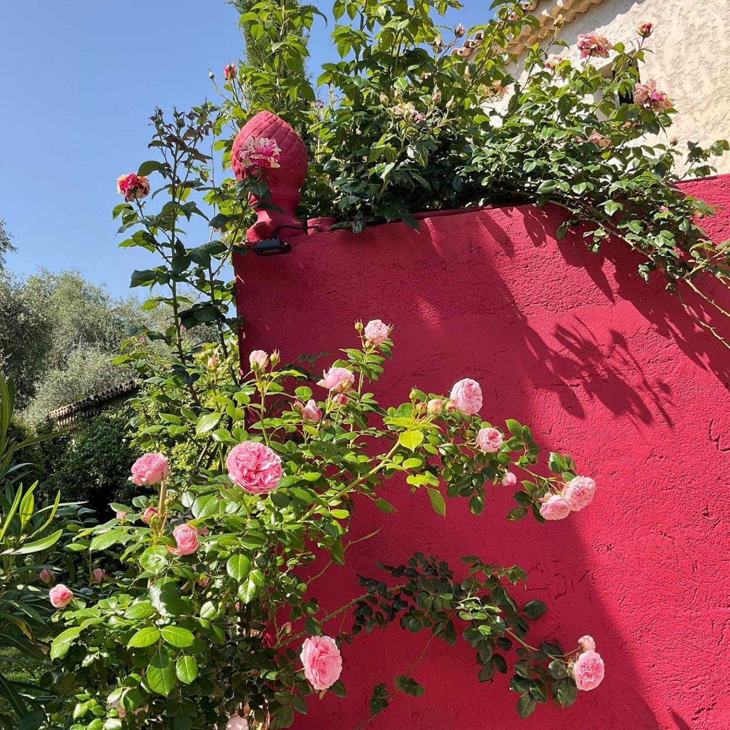 Mas De Provence En Riviera Otel La Roquette-sur-Var Dış mekan fotoğraf