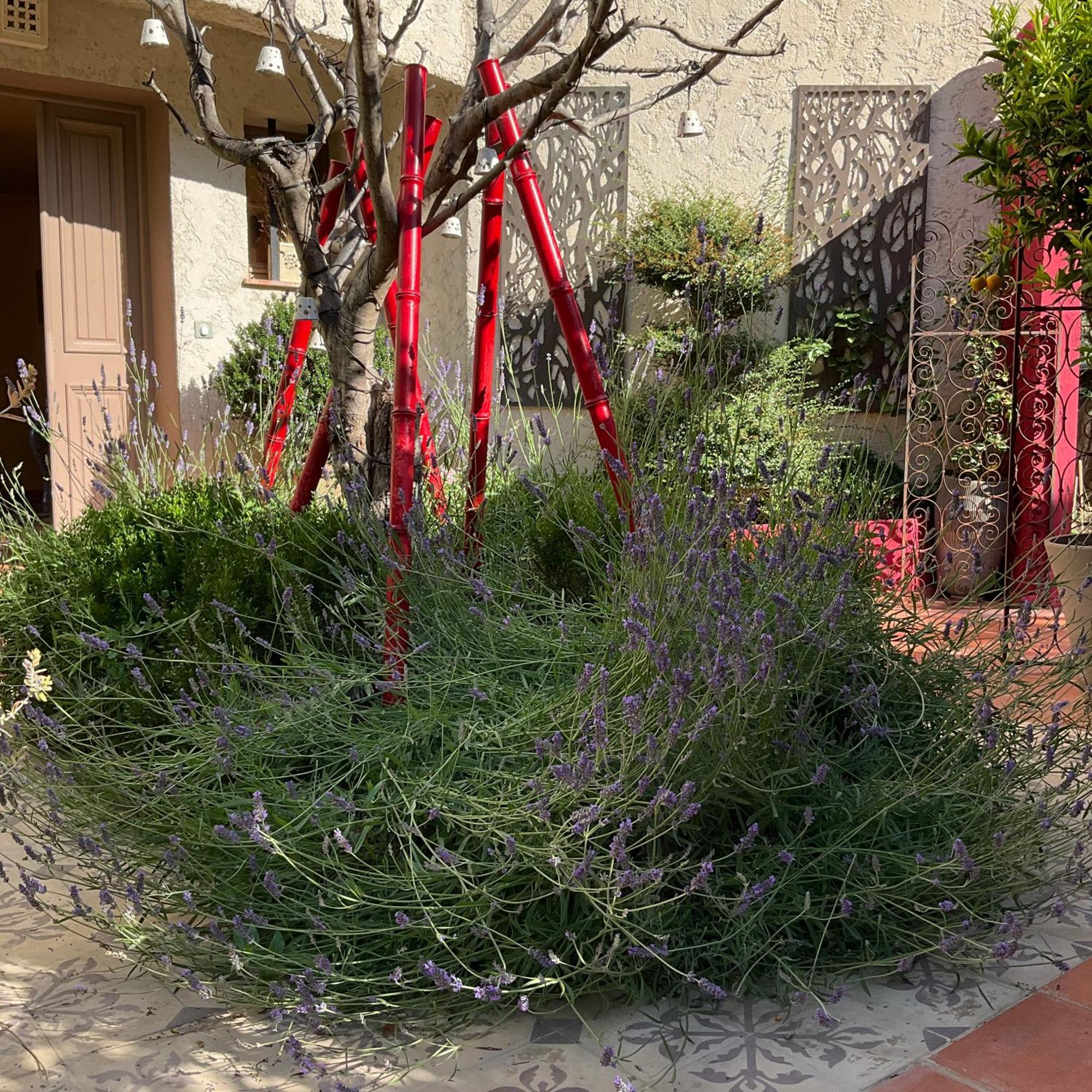 Mas De Provence En Riviera Otel La Roquette-sur-Var Dış mekan fotoğraf